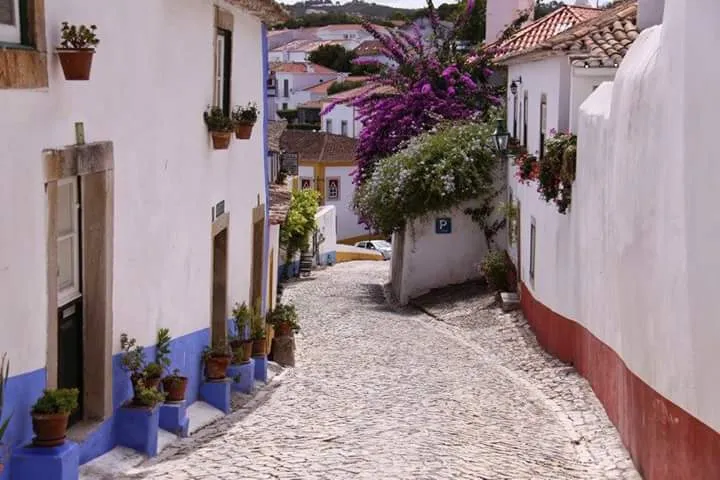 Portugees