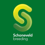 logo-schoneveld-breeding